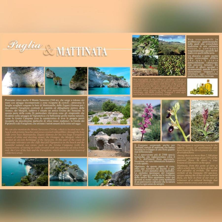 Villa Marhu' Mattinata Εξωτερικό φωτογραφία